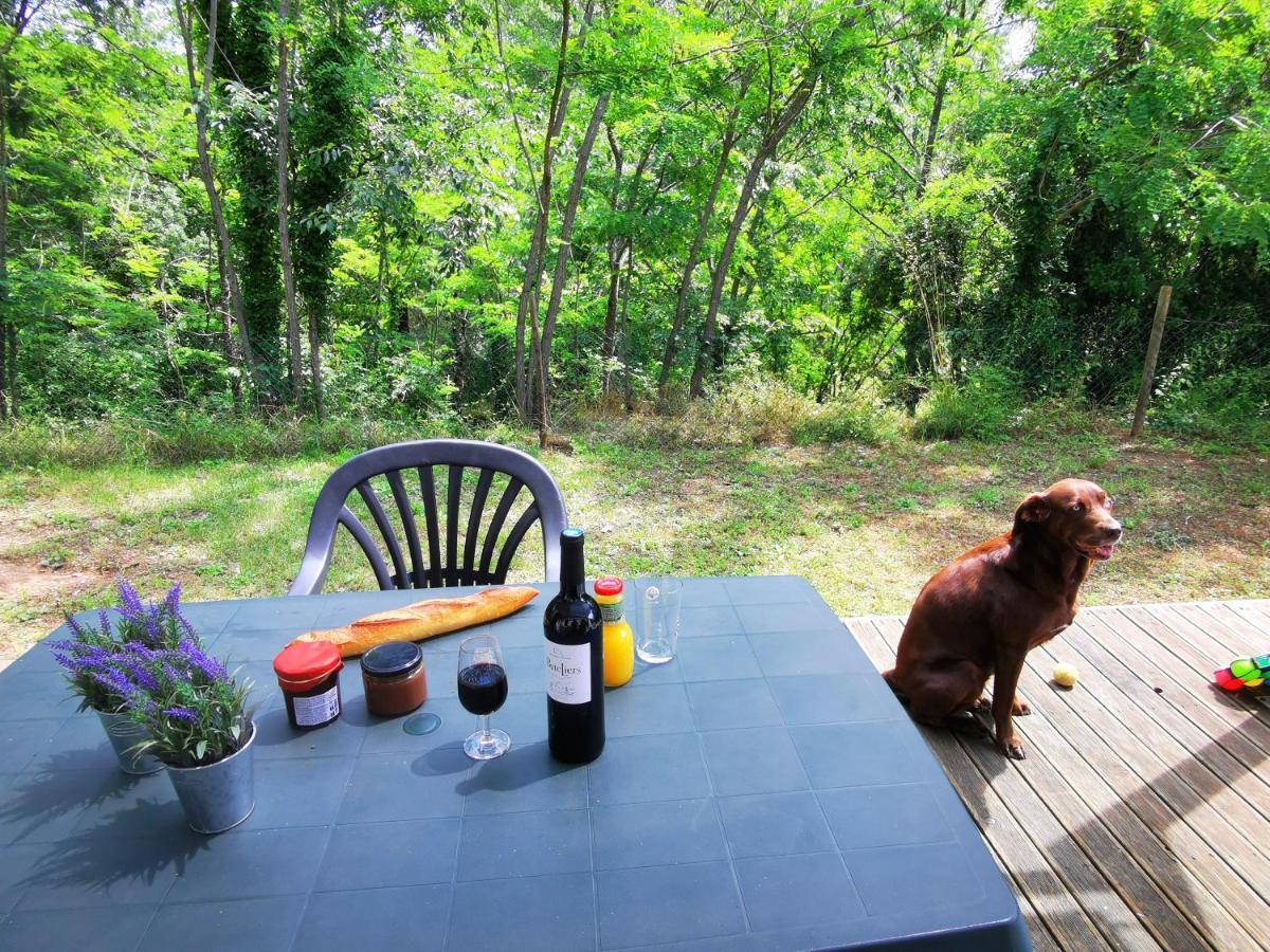 Camping Le Coin Charmant Chauzon Экстерьер фото